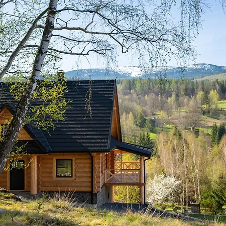 Alebale Luksusowy Dom Z Bali Z Widokiem Na Karkonosze Villa *