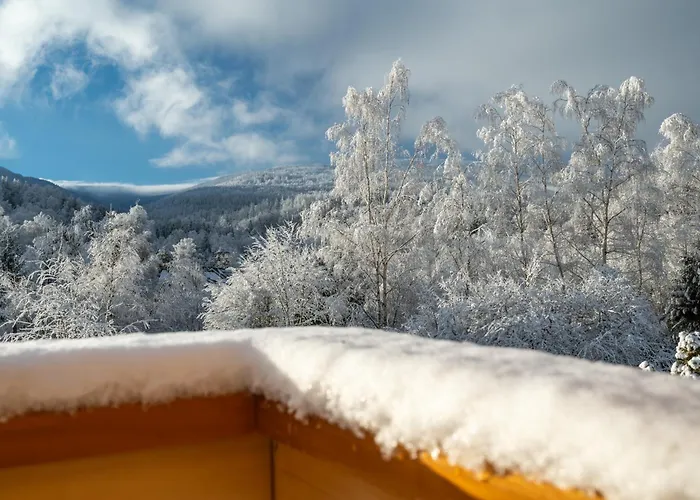 Alebale Luksusowy Dom Z Bali Z Widokiem Na Karkonosze 셰시에카